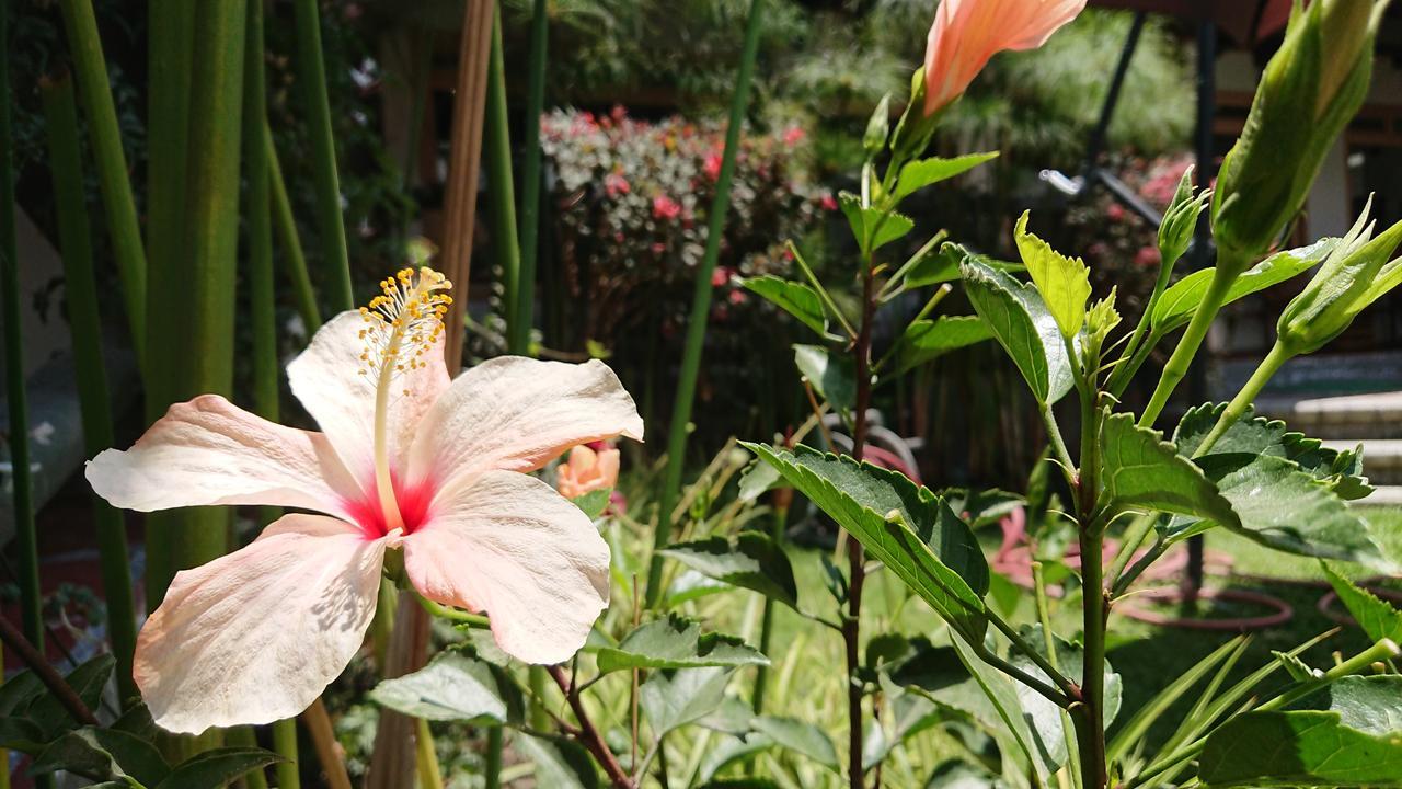 Villa Mimi 오타발로 외부 사진