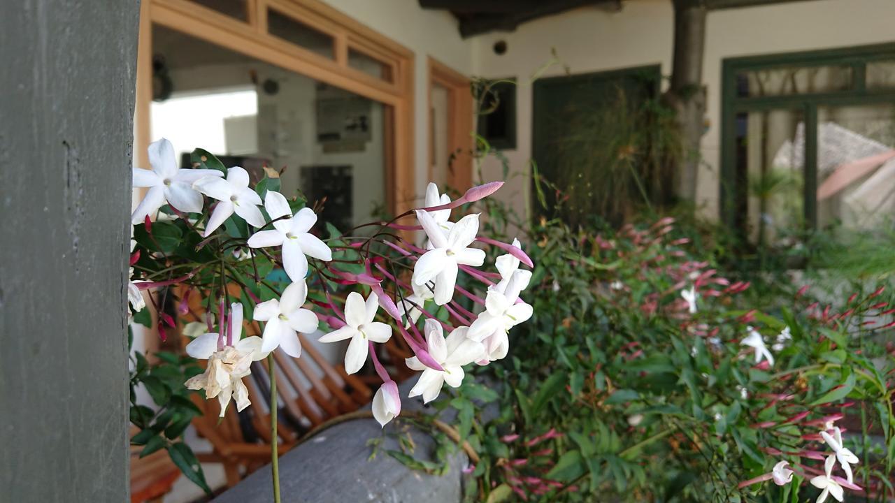 Villa Mimi 오타발로 외부 사진